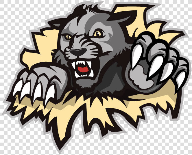 Wildcat Clipart West Shore   West Shore Wildcats Logo  HD Png DownloadTransparent PNG