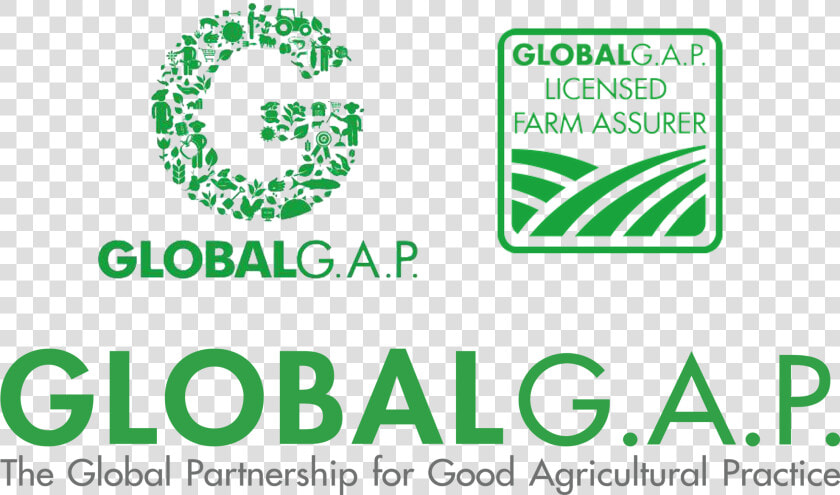 Certificazioni Global Gap Logo   Globalgap  HD Png DownloadTransparent PNG