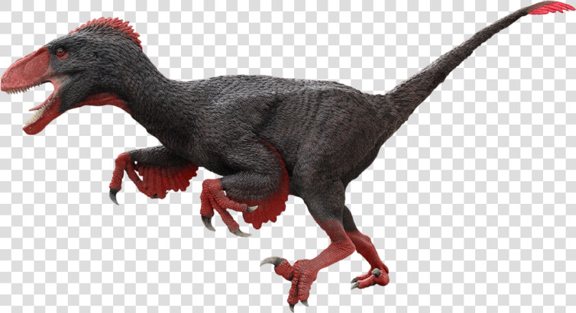 Dinosaur animal Animal extinction claw   Utahraptor Png  Transparent PngTransparent PNG