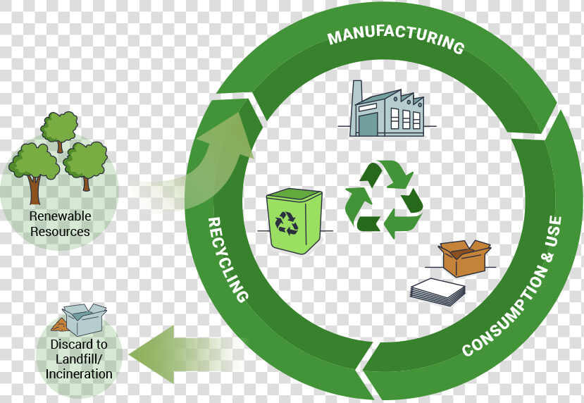 Carbon Infographic Illustration   Role Of Software Design Principles And Software Structures  HD Png DownloadTransparent PNG