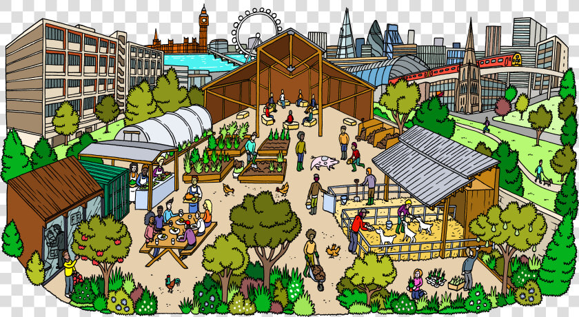Oasis Png  Transparent PngTransparent PNG
