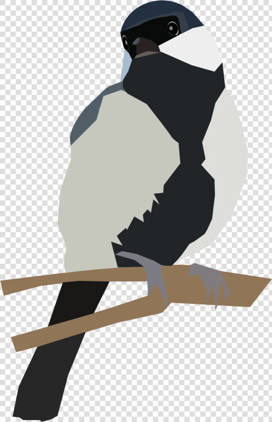 Japanese Tit On A Twig   Japanese Tit Clip Art  HD Png DownloadTransparent PNG