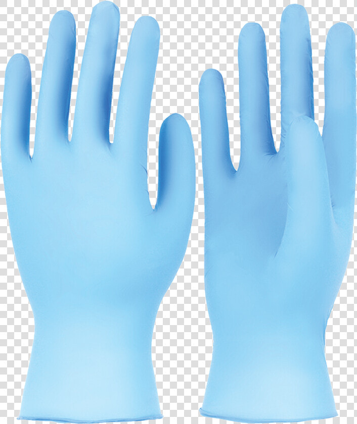 Nitrile Disposable Gloves  Latex Free  Powder Free   Mannequin  HD Png DownloadTransparent PNG