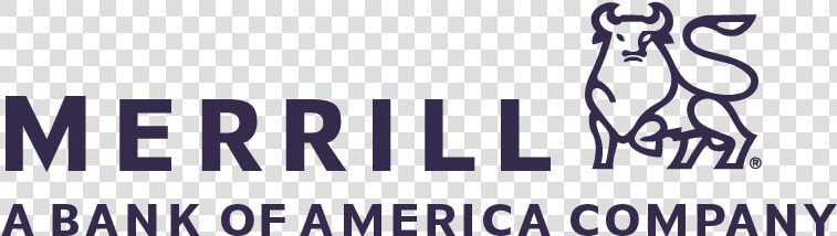 Merrill Lynch Private Banking  amp  Investment Group  HD Png DownloadTransparent PNG
