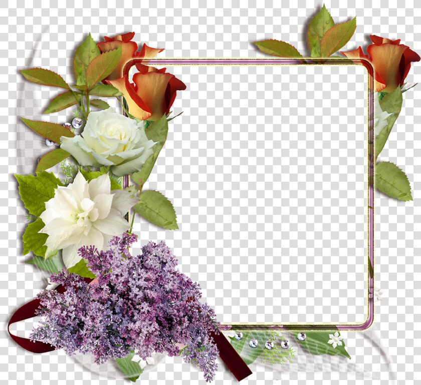 Marco De Boda Png  Transparent PngTransparent PNG