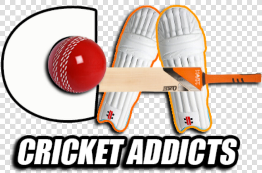 Cross Training Shoe  HD Png DownloadTransparent PNG