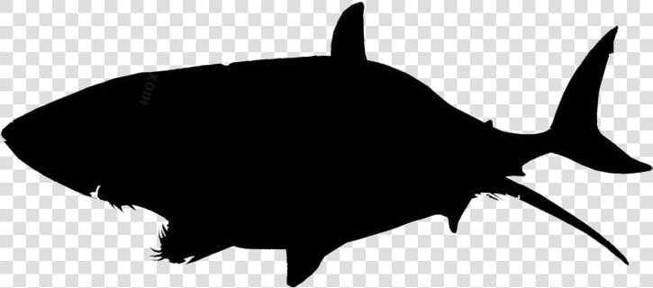 Killer Whale Png Logo   Tuna Icon Png  Transparent PngTransparent PNG