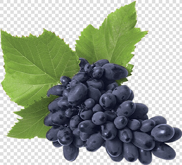 Seedless Fruit  HD Png DownloadTransparent PNG