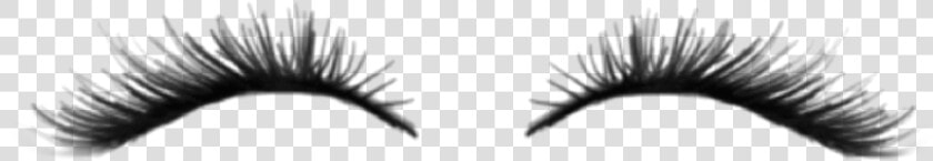 eyelash  eyelashes  eye  eyes  zepeto  zpt  zepetoeyelashes   Eyelash Extensions  HD Png DownloadTransparent PNG
