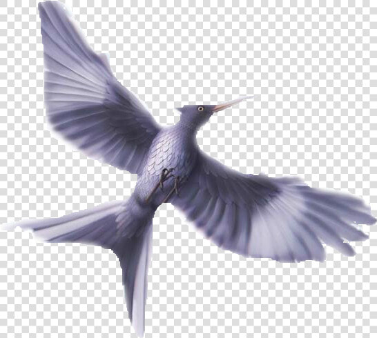 Thumb Image   Jabberjay Mockingbird  HD Png DownloadTransparent PNG