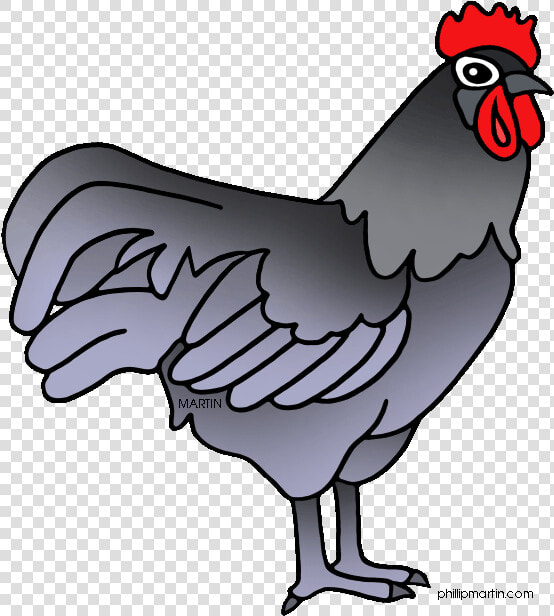 Hen Clipart Christmas   Delaware Blue Hen Clipart  HD Png DownloadTransparent PNG