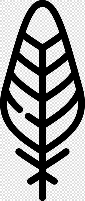 Feather   Feather Icons  HD Png DownloadTransparent PNG