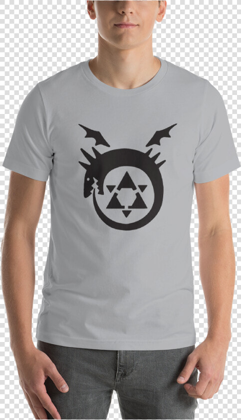Ouroboros Full Metal Alchemist   Png Download   Ouroboros Full Metal Alchemist  Transparent PngTransparent PNG