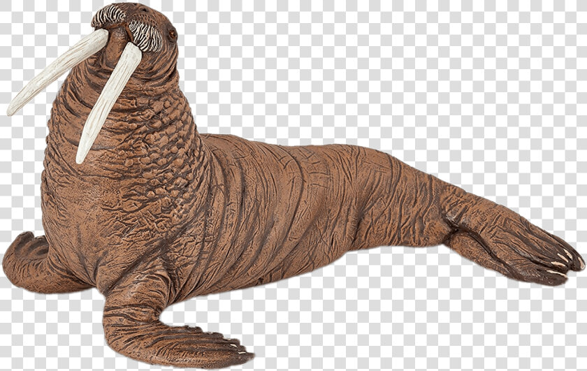 Walrus Figurine   Walrus Toy  HD Png DownloadTransparent PNG