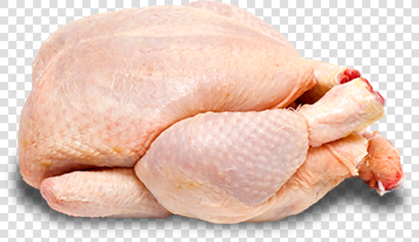 Daily Fresh Suguna Chicken  HD Png DownloadTransparent PNG
