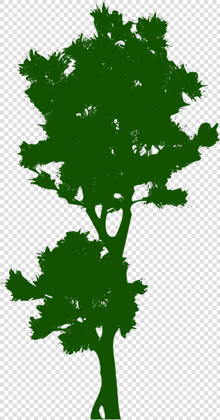 Tree Public Domain Clip Art   Pohon Tinggi Vektor  HD Png DownloadTransparent PNG