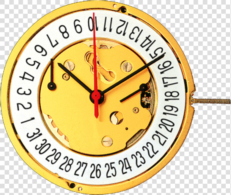 D Quartz Movement For Wristwatches 12½   September 28 World Rabies Day  HD Png DownloadTransparent PNG