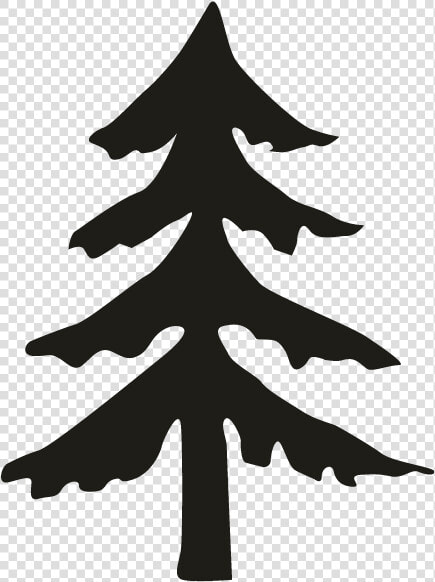 Fir Pine Spruce Christmas Tree   Simple Pine Tree Silhouette Png  Transparent PngTransparent PNG