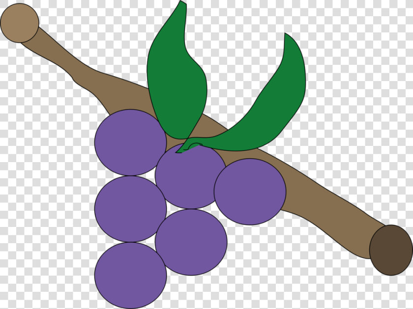 Plant grape grapevine Family   Uva Lila  HD Png DownloadTransparent PNG