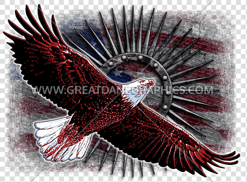 Soaring Metal Eagle American Flag Baseball Sleeve Shirt   Flag Of The United States  HD Png DownloadTransparent PNG