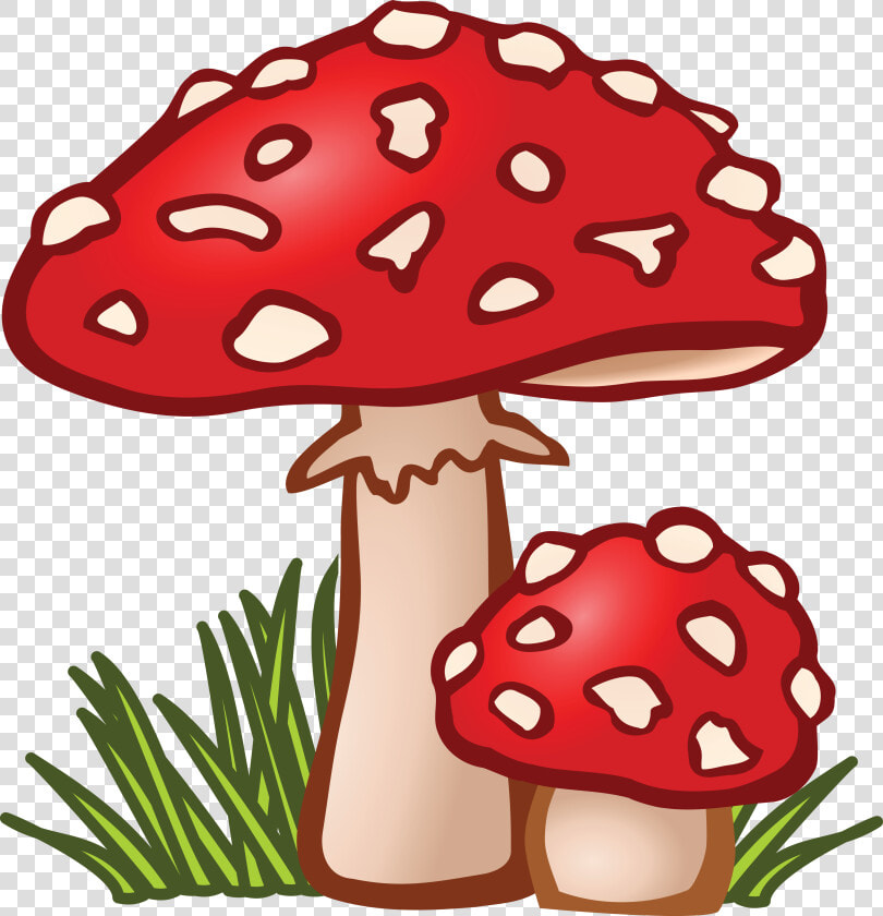Free Clipart Of Mushrooms   Mushroom Clipart  HD Png DownloadTransparent PNG
