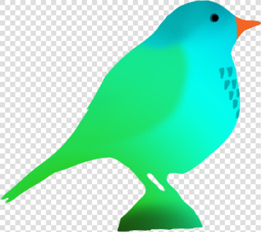 Fantasy Colored Bird Silhouette   Colorful Bird Silhouette On Transparent  HD Png DownloadTransparent PNG