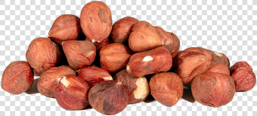 Hazelnuts  Barcelona  Whole  Raw Class   Hazelnut Whole Raw  HD Png DownloadTransparent PNG
