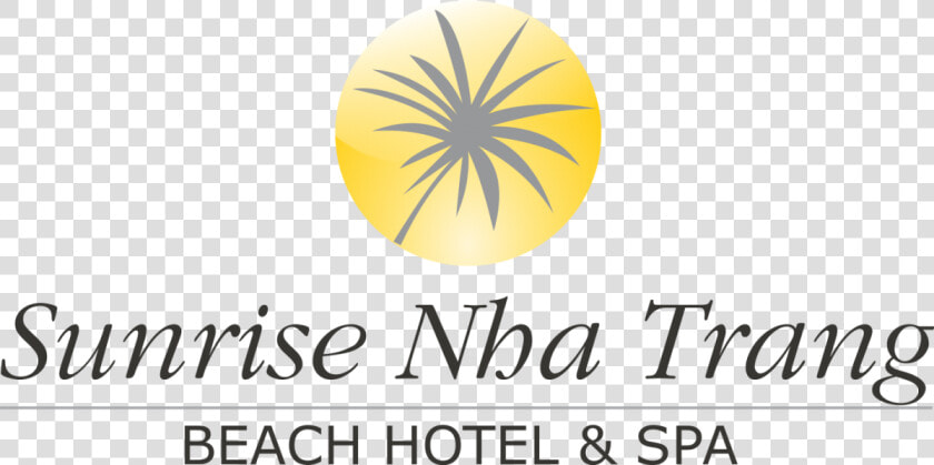 Sunrise Nha Trang Beach Hotel  amp  Spa  HD Png DownloadTransparent PNG