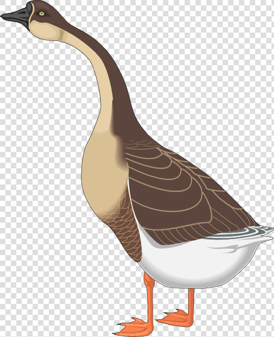 Transparent Geese Flying Png   Goose Clipart Png  Png DownloadTransparent PNG