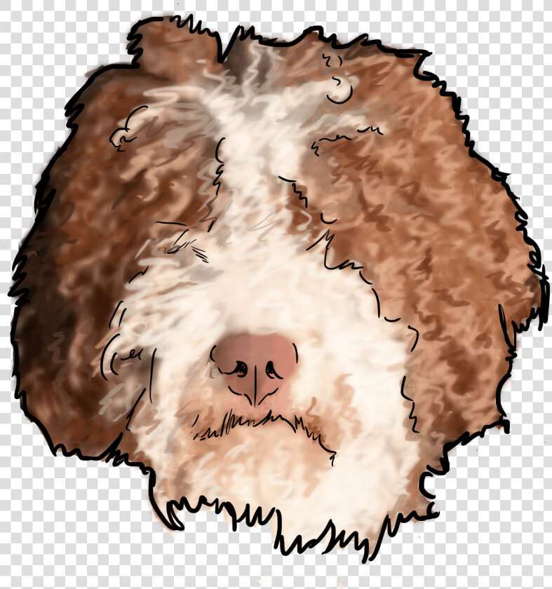 Fuzzy Buddies Of The Water   Sheep  HD Png DownloadTransparent PNG