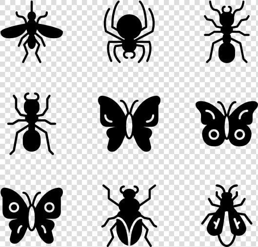 Bugs  amp  Insects   Insects Icon Png  Transparent PngTransparent PNG
