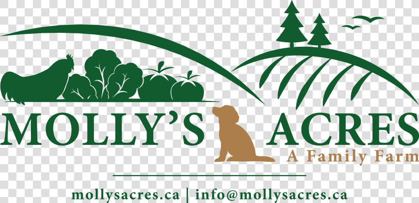 Molly S Acres   Illustration  HD Png DownloadTransparent PNG