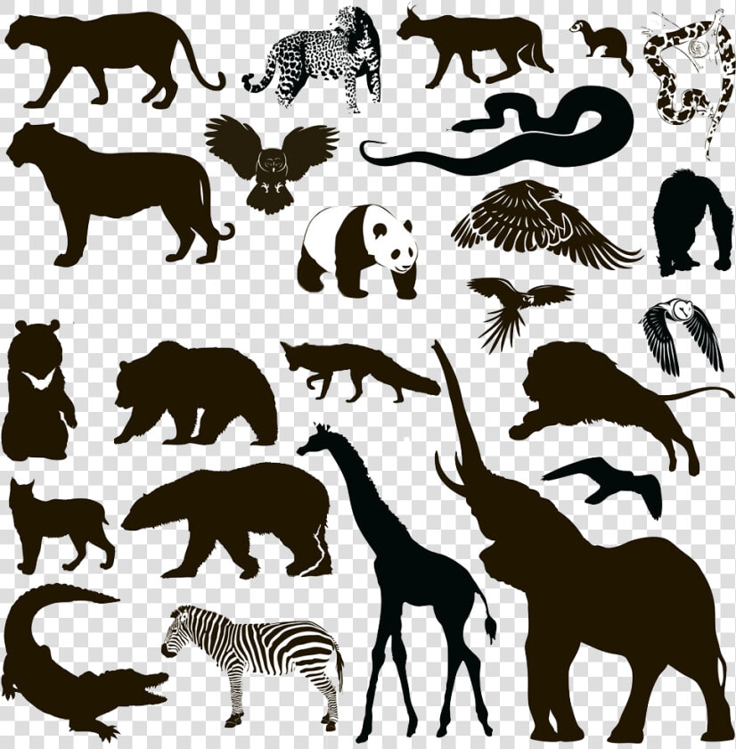 Silhouette Animal Wildlife   Wild Animal Silhouettes Free  HD Png DownloadTransparent PNG