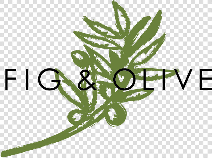 Fig Leaf Png  Transparent PngTransparent PNG