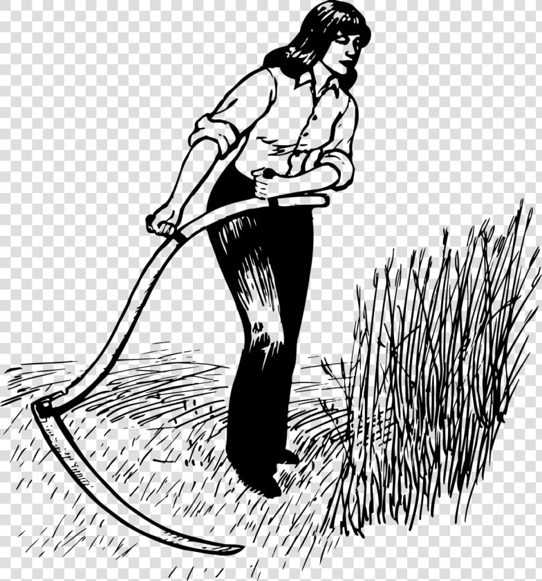 Harvesting Black And White Clipart  HD Png DownloadTransparent PNG