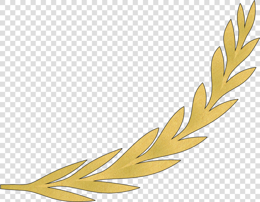 Gold Olive Branch Png   Gold Olive Branch Clip Art  Transparent PngTransparent PNG