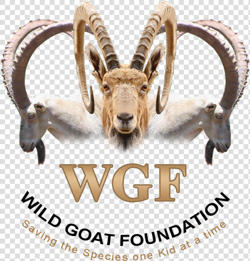 Logo Design By M79 For Wild Goat Foundation   Mountain Goat  HD Png DownloadTransparent PNG