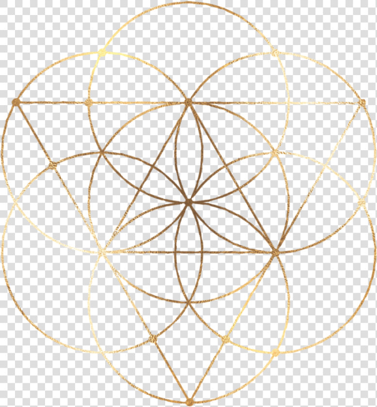 Transparent Gold Flower Png   Geometric Circle Sacred Geometry  Png DownloadTransparent PNG