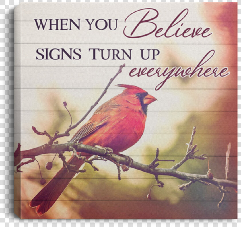 Finch  HD Png DownloadTransparent PNG