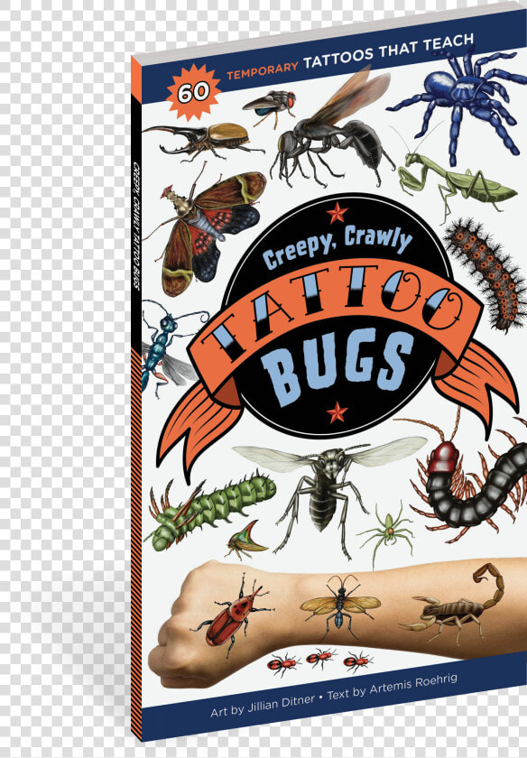 Cover   Realistic Caterpillars Tattoo  HD Png DownloadTransparent PNG