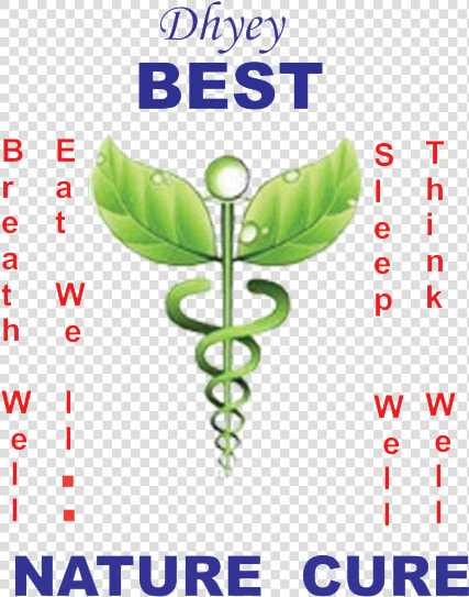 Buy Amaltas   Garmalo   Cassia Fistula   Cassia Fistula seeds   Alternative Medicine Symbol  HD Png DownloadTransparent PNG