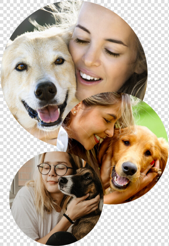 Website Templates  HD Png DownloadTransparent PNG