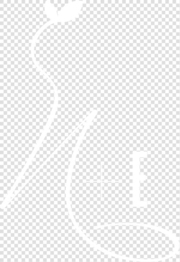 Icon White   Jhu Logo White  HD Png DownloadTransparent PNG