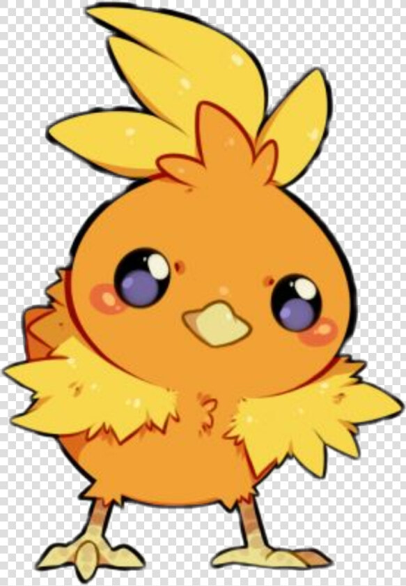  torchic  pokemon  hoennstarter  hoenn  kawaii  anime   Cartoon  HD Png DownloadTransparent PNG