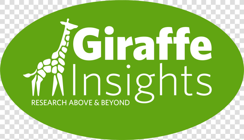 Giraffe Insights  HD Png DownloadTransparent PNG