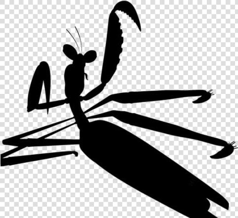Mantis From Kung Fu Panda Legends Awesomeness Png Hd   Illustration  Transparent PngTransparent PNG