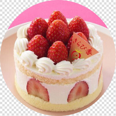  pastel  pastelcolors  sweets  treats  png  circle   Fruit Cake  Transparent PngTransparent PNG