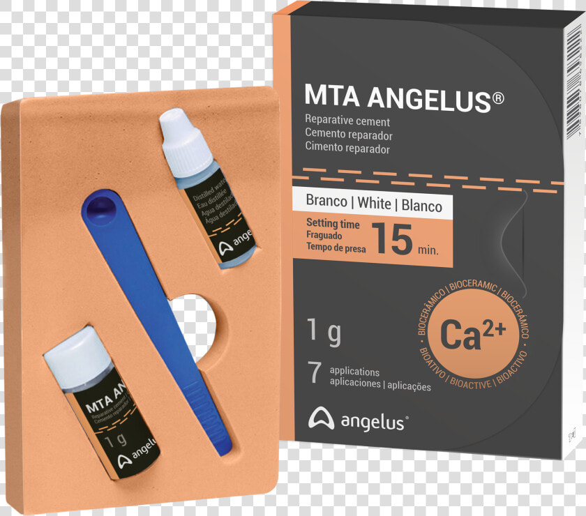 Mta Fil Angelus  HD Png DownloadTransparent PNG