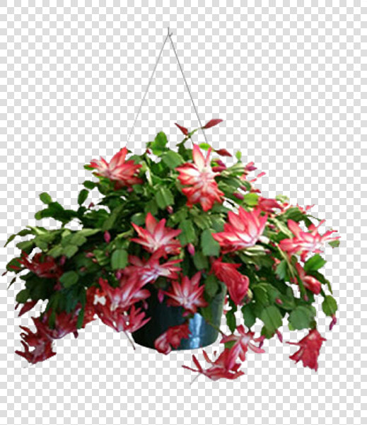 Funeral Flower Arrangements Png  Transparent PngTransparent PNG