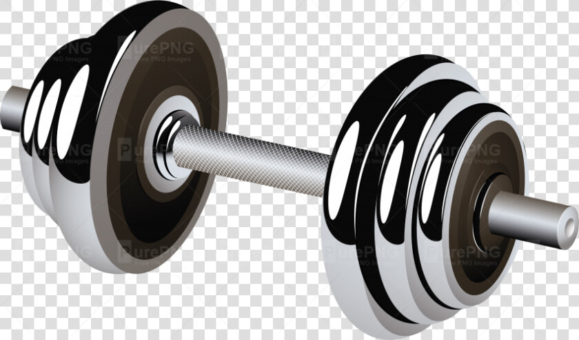 Transparent Hand Weights Clipart  HD Png DownloadTransparent PNG